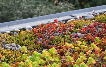 the cost of Sullington green roof installation