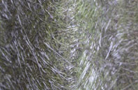 Sullington fibreglass roof work